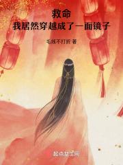 救命!我居然穿越成了一面镜子免费阅读