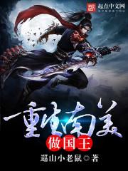 重生南美做国王续写