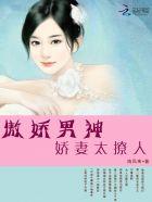傲娇男神宠妻上瘾