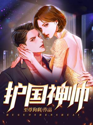 护国神帅1至100集