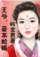 王爷妾本红妆