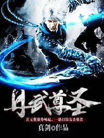 丹武尊圣txt全本