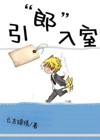引郎入室为H文
