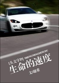 头文字d最速理论