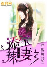 添宝集团有限公司