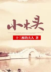 小木头奇遇记好句子摘抄大全