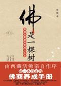 佛就是什么