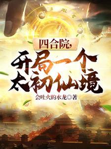 四合院开局娶
