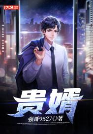 贵婿龙王殿免费观看完整版动漫