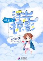 网王之浮光掠影全文阅读