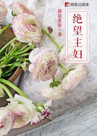 绝望主妇第九季在线观看电视剧