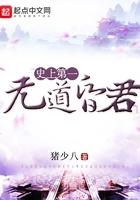 史上第一昏君免费