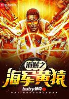 海贼之黄猿我拒绝加班