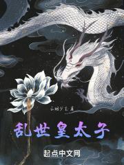 乱世皇太子朱慈琅全文免费阅读