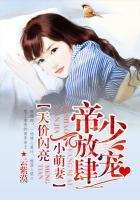 帝少霸宠天价小萌妻