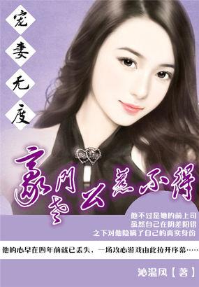 豪门老公宠妻如命txt