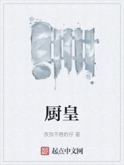 厨皇子油烟机是品牌吗