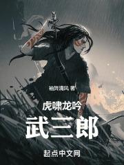 虎啸龙吟演的什么