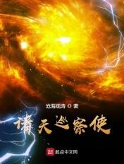 大夏巡察使