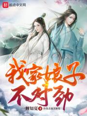 我家娘子不对劲几个老婆
