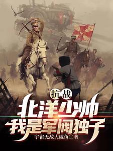重生之北洋军阀少帅