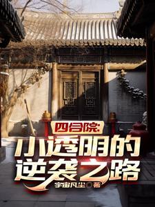 四合院小透明的逆袭之路作者宇宙凡尘