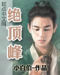 绝顶聪明的绝的意思