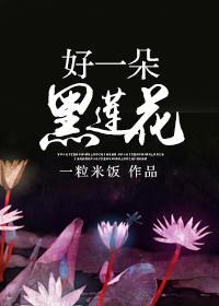 好一朵黑莲花一粒米饭
