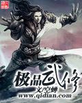 极品武神情感
