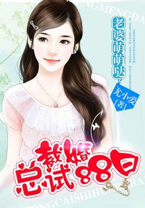 总裁的试婚新妻