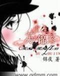 重生苏锦洛完结篇
