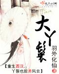 如是丫鬟完结