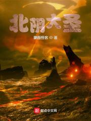 北京大圣甲