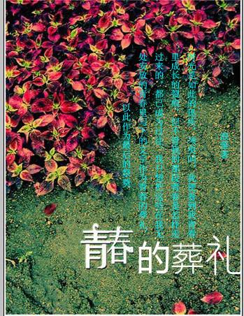 青春的葬礼郑钧完整版