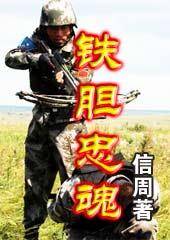 铁骨忠魂这本书的简介