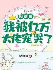 闪婚后我被亿万大佬宠哭了宴川