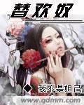 替欢奴艳妃