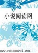 复仇公主话本