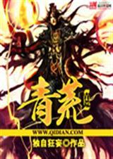 青荒老人什么境界