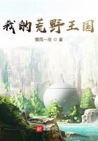 荒野之我的