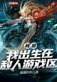 网游我出生在敌人游戏区txt