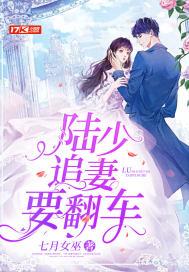 陆少追妻火葬场
