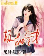 极品全才神婿女主