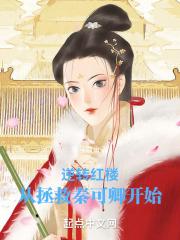 红楼开局拯救秦可卿 安静的蜗牛