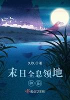 末日背景的全息网游