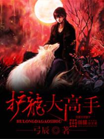 护龙大高手全文免费