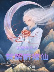 我解析修仙路程