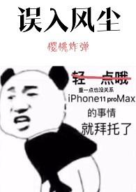 误入风尘的爱情txt