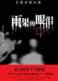 雨果讲的什么故事