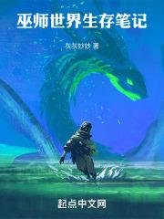 巫师世界生存笔记在线观看